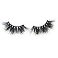 February 25 MM Lashes
