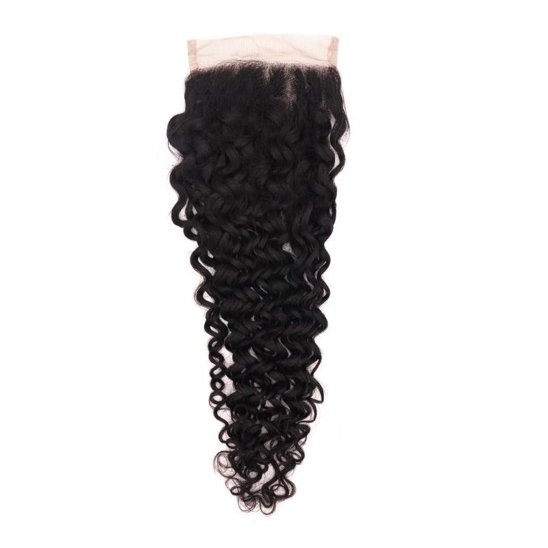 Raw 4x4 HD Deep Curly Closure